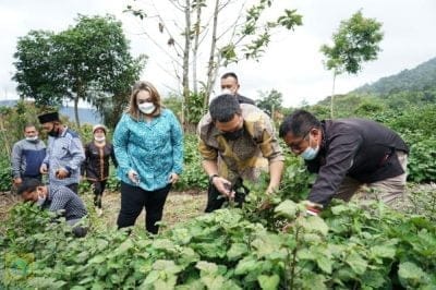Bupati Pakpak Bharat : Holtikultura Berpeluang Tingkatkan Pendapatan Ditengah Pandemi