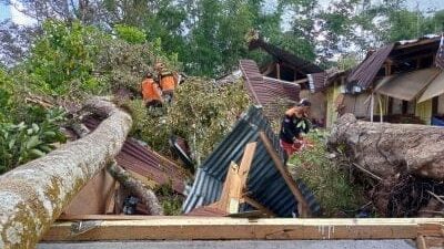 Pohon Durian Timpah Bangunan Sekolah, Begini Penjelasan Kadis Pendidikan Taput