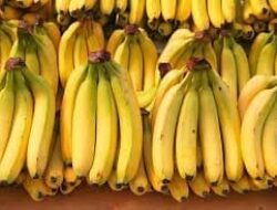 Pisang Merupakan Obat Alami dari Berbagai Penyakit, Tercatat di QS. Al-waqiah Ayat 29