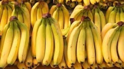 Pisang Merupakan Obat Alami dari Berbagai Penyakit, Tercatat di QS. Al-waqiah Ayat 29
