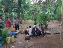 Pemain Judi Sabung Ayam di Desa Gedung Harta Kabur Saat Digerebek Polisi