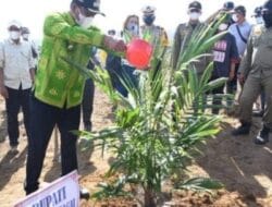 Bupati Sergai Hadiri Tanam Perdana di Kebun Tanah Raja PTPN III