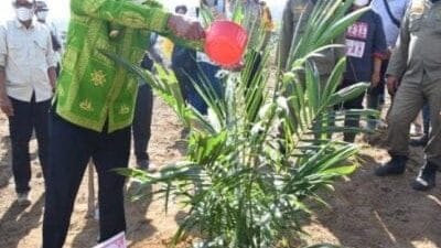 Bupati Sergai Hadiri Tanam Perdana di Kebun Tanah Raja PTPN III