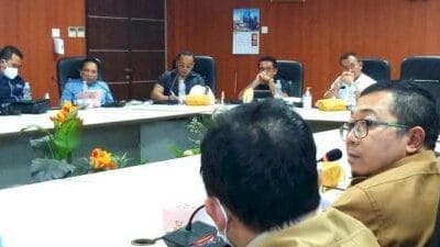 Pemko Medan Butuh Rp 90 Triliun Penuhi RTH 20 Persen