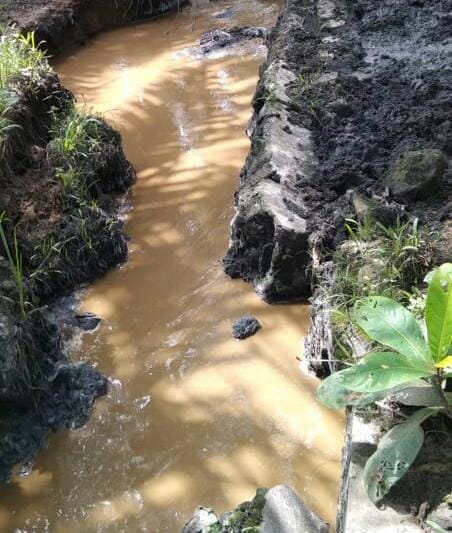 Dirut Holding PTPN III Diminta Turun ke PKS Tinjowan