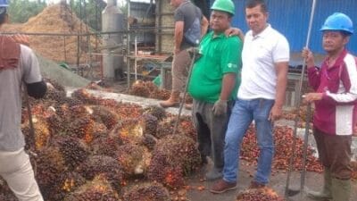 PKS PT. AK Pulau Birandang Dituding Tak Bayar Upah Bongkar