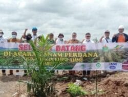 PTPN IV Kebun Ajamu Laksanakan Tanam Perdana Kelapa Sawit