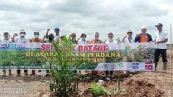 PTPN IV Kebun Ajamu Laksanakan Tanam Perdana Kelapa Sawit
