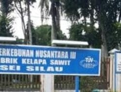 Pabrik Sawit PTPN3 Distrik Asahan Menuju Perubahan