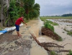 Diguyur Hujan Semalaman, Tanggul dan Jalan Jebol di Kec Pagar Merbau