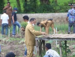 Walikota Sidempuan & Poktan Mekar Sari Panen Bawang Merah