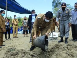 Pemkab Samosir Dukung Budidaya Ternak Babi