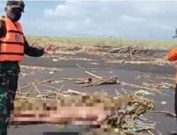Pria Ditemukan Tewas Tanpa Busana di Pantai Selatan