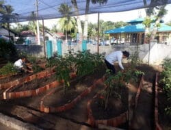 Apotek Hidup dan Kebun Gizi PTPN IV Kebun Pulu Raja Patut Ditiru