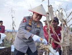 Kapolda Riau Hadiri Panen Perdana Tanaman Hortikultura, Begini Pesanya
