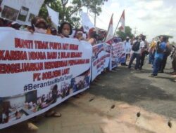 Rekomendasi Bupati Sergai Perpanjangan HGU Perkebunan Sawit Diduga Cacat Hukum