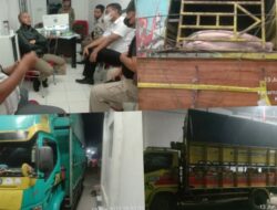 3 Truk Pembawa Babi Asal Bali, Ditahan di pelabuhan Gunungsitoli