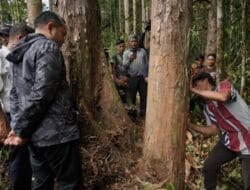 Bupati Pakpak Bharat Kunjungi Kawasan Pelestarian Hutan Kapur