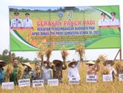 Bupati Sergai Inginkan Pertanian Mandiri Jadi Program Unggulan