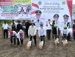 Kunker ke Pakpak Bharat, Gubsu Tanam Perdana Jagung dan Bagikan Mesin Pertanian