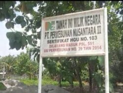 Dorong Peningkatan Produksi Sawit, PTPN 2 akan Bersihkan Areal HGU 103 Bulu China