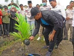 Dukung Penghijauan, Bupati Zahir Tanam Bibit Pohon Pinang