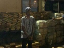 Polrestabes Medan Amankan 1,3 Ton Ganja