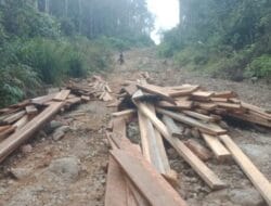 Kapolri Diminta Tangkap Mafia Perambah Hutan Register 39 Kabupaten Palas