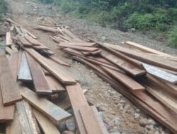 Tangkap Perambah Hutan Register 39 dan Swaka Margasatwa di Padang Lawas