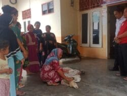 Emak-emak Pedagang Pasar Geruduk Kantor Camat Lubuk Barumun