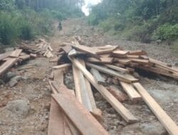 Mafia “Obok-obok” Hutan Register 39 Jadi Kebun Sawit