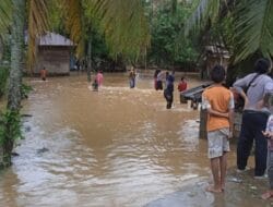 Sungai Batang Taris Meluap, Pemukiman Warga Terendam Banjir