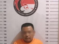 Polres Labuhanbatu Ringkus Pengedar Sabu