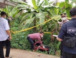 Misteri Koper Merah Terkuak, Dikira Berisi Uang Ternyata Mayat Tanpa Kepala