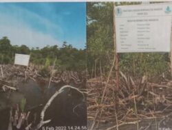 Usut Dugaan Korupsi Reboisasi Mangrove di Medan & Langkat Rp391,5 Miliar