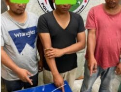 Polres Toba Tangkap Tiga Pengguna Narkoba