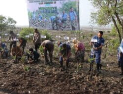 TNI Bersama Polresta dan Pemkab Deli Serdang Tanam Bibit Mangrove