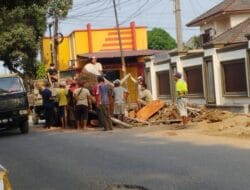 Pemko Medan “Kecolongan”, Pohon Mahoni di Johor Raib