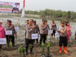 Sambut HUT Bhayangkara ke-77, Polres Sergai Tanam Pohon Mangrove