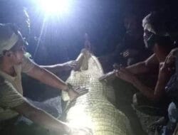 Jasad Wanita yang Diterkam Buaya di Sungai Akhirnya Ditemukan