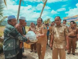 Walikota Padangsidimpuan Tanam Perdana Bawang Merah