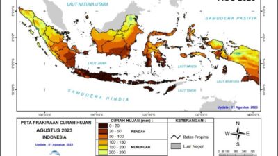 Dampak El Nino, FAO Serukan Setiap Negara Akan Hadapi Krisis Pangan Beras Naik