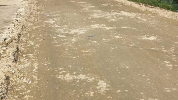 Jalan Tanjung Raya Pasar 6 Desa Manunggal Diaspal