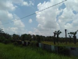Kajati Sumut Diminta Periksa Legalitas Pemilik Kolam Renang yang Dibangun Diatas Lahan Ex HGU PTPN II
