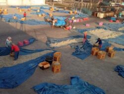 Pekerja PT. BSA Gabion Belawan Diduga Belum Didaftarkan Ke Disnaker Sumut