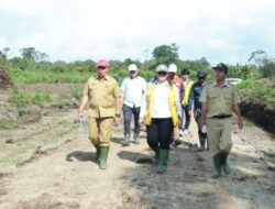 Bupati Samosir Tinjau Lokasi Pembangunan IPLT dan TPA