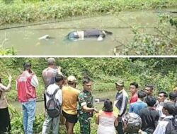 Warga Digegerkan dengan Penemuan Mayat di Areal PTPN 4 Kebun Berangir