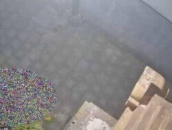 Terekam CCTV, Bule dan WNI Hubungan Intim Didepan Rumah Warga