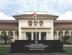 Optimalkan Aset, PTPN IV Akan Bersihkan Areal HGU Kebun Dolok Ilir