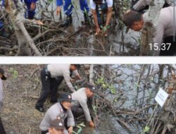 Polda Sumut dan Pemprov Tanam 10 Ribu Pohon Mangrove di Pesisir Langkat